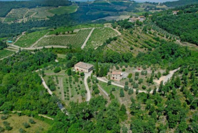 Agriturismo capanna delle Cozzole Castellina In Chianti